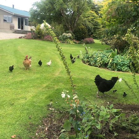 Southland Organic Farmstay Invercargill Bagian luar foto
