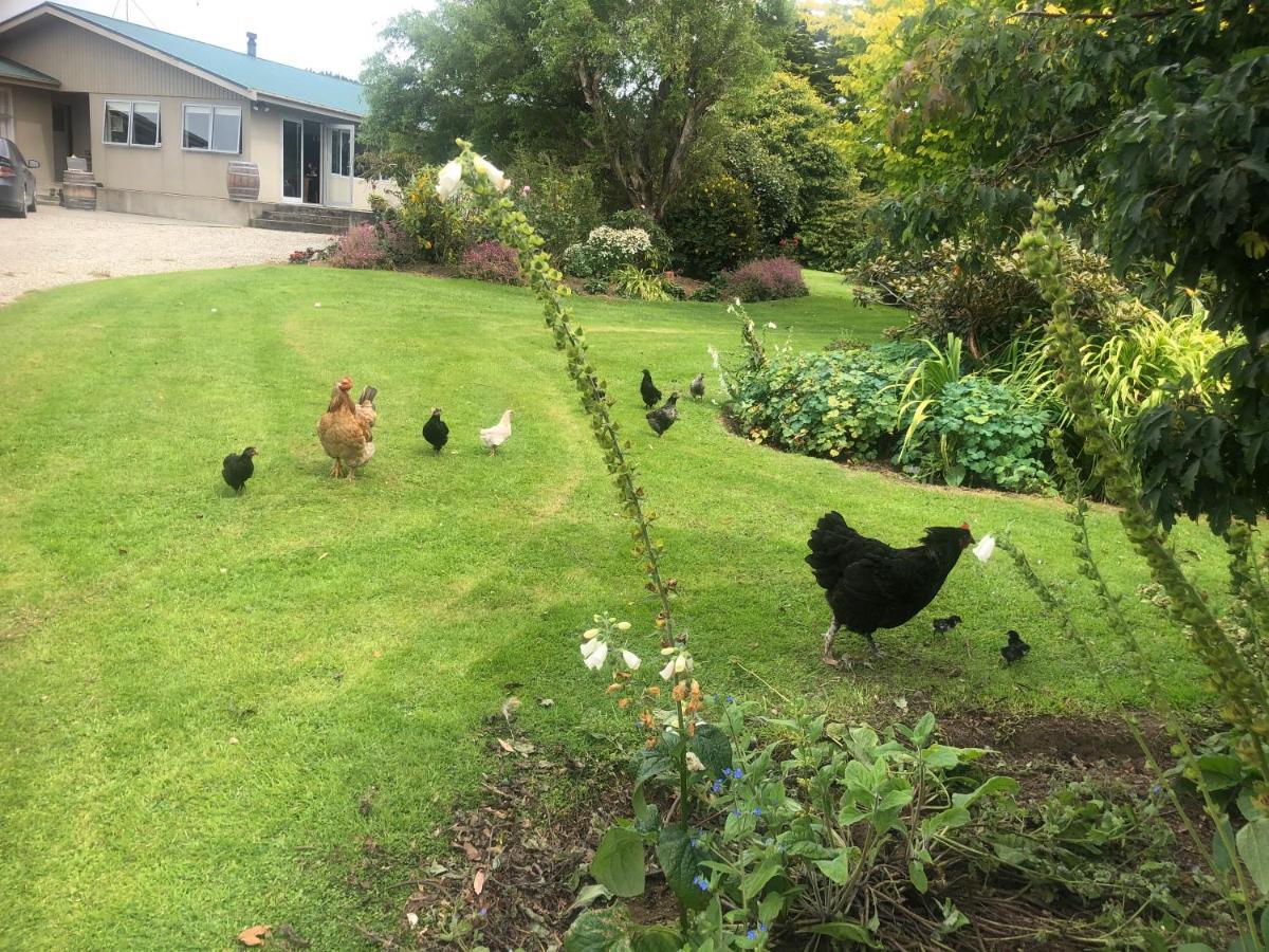Southland Organic Farmstay Invercargill Bagian luar foto